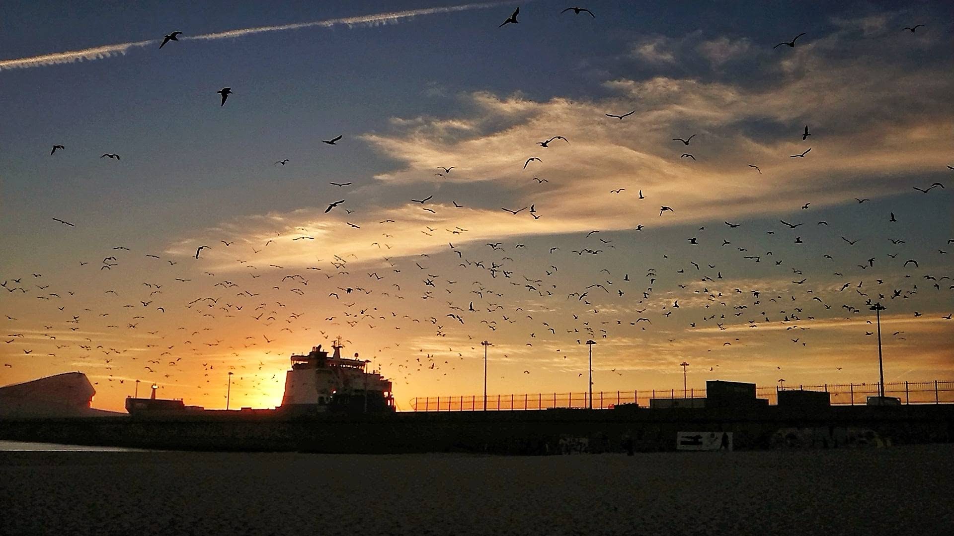 A minha memória favorita da infância