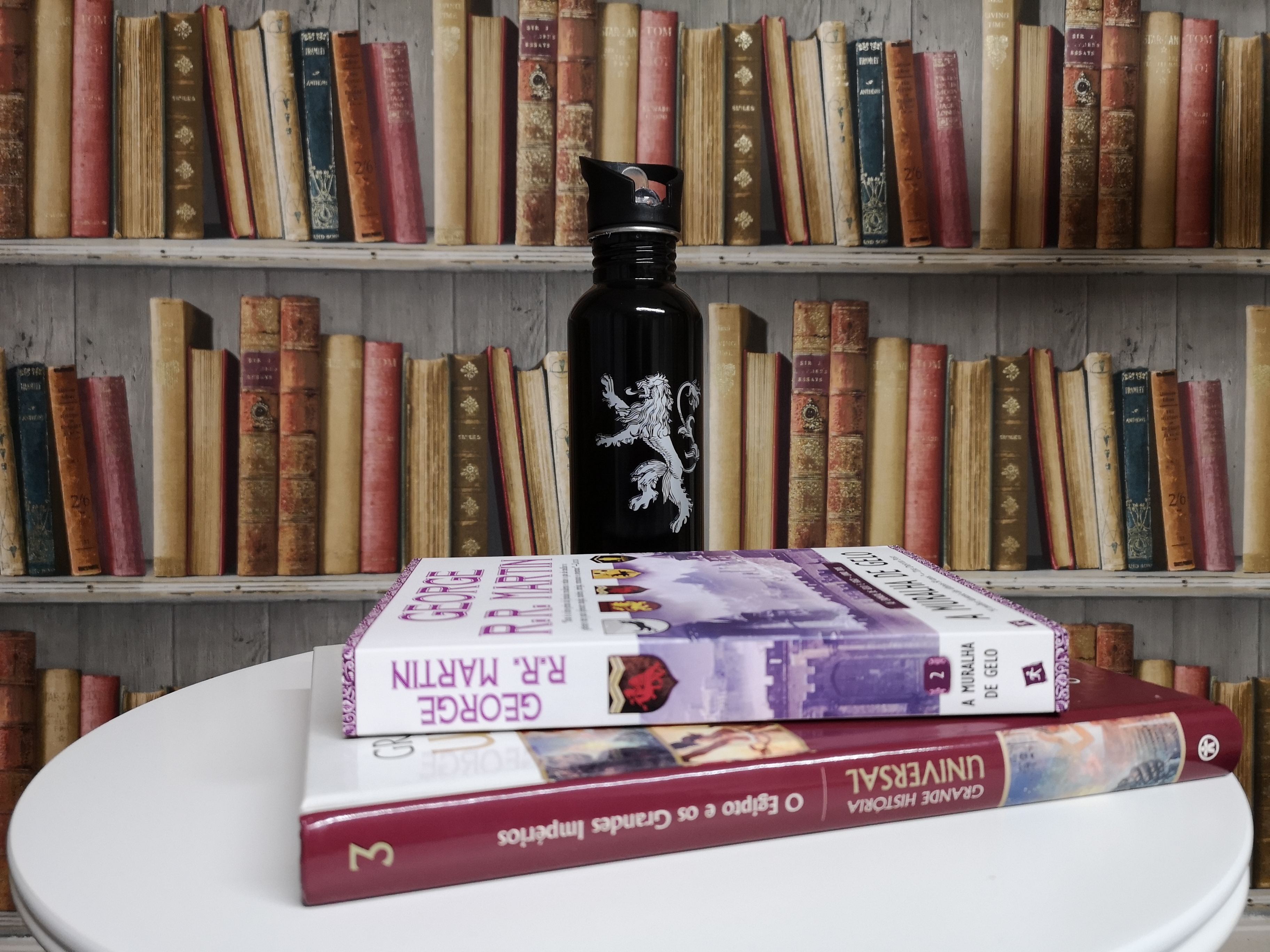 Li “A Muralha de Gelo”