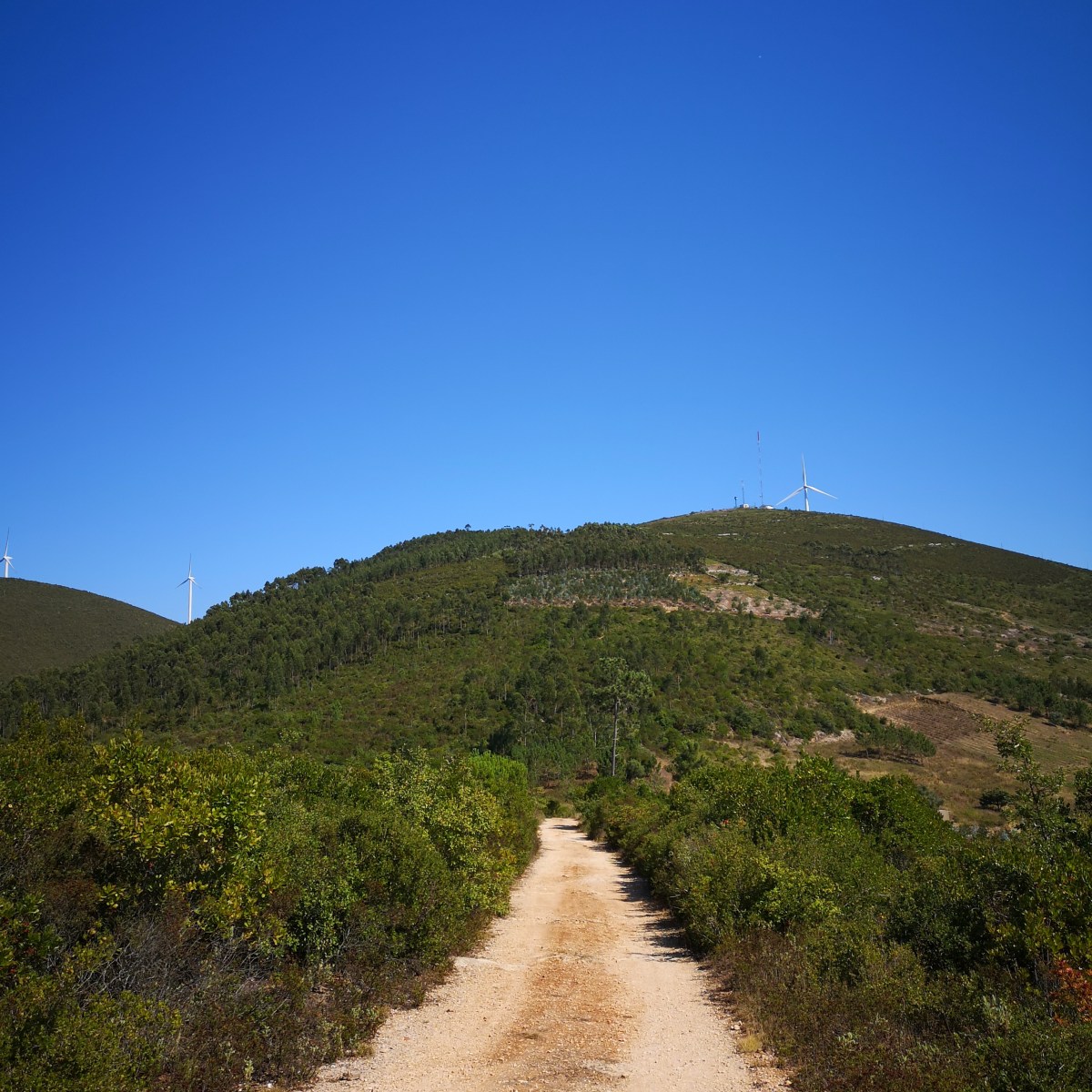 Este ano escrevo um livro (Edição&nbsp;2020)