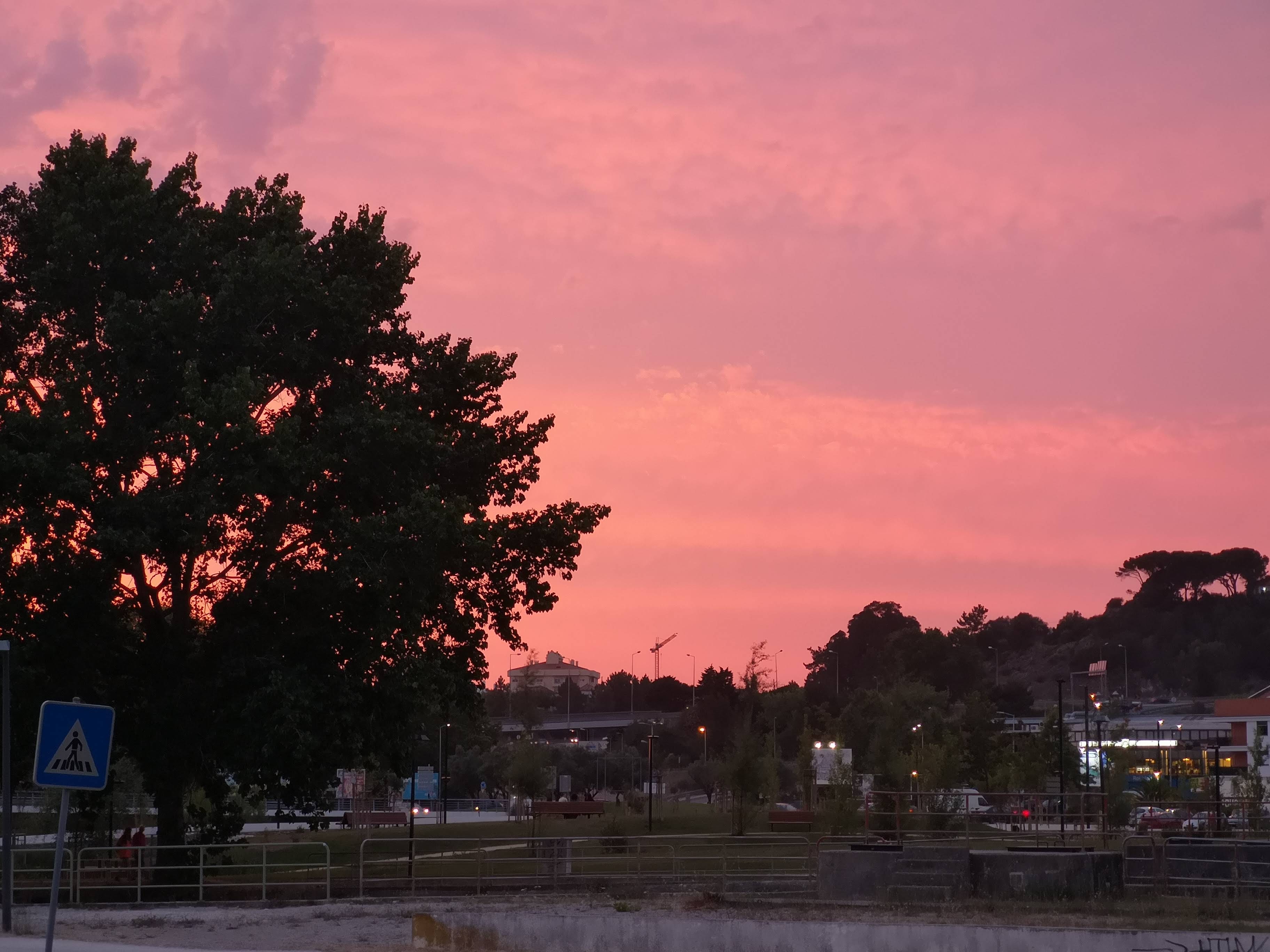 A minha escrita em junho e julho
