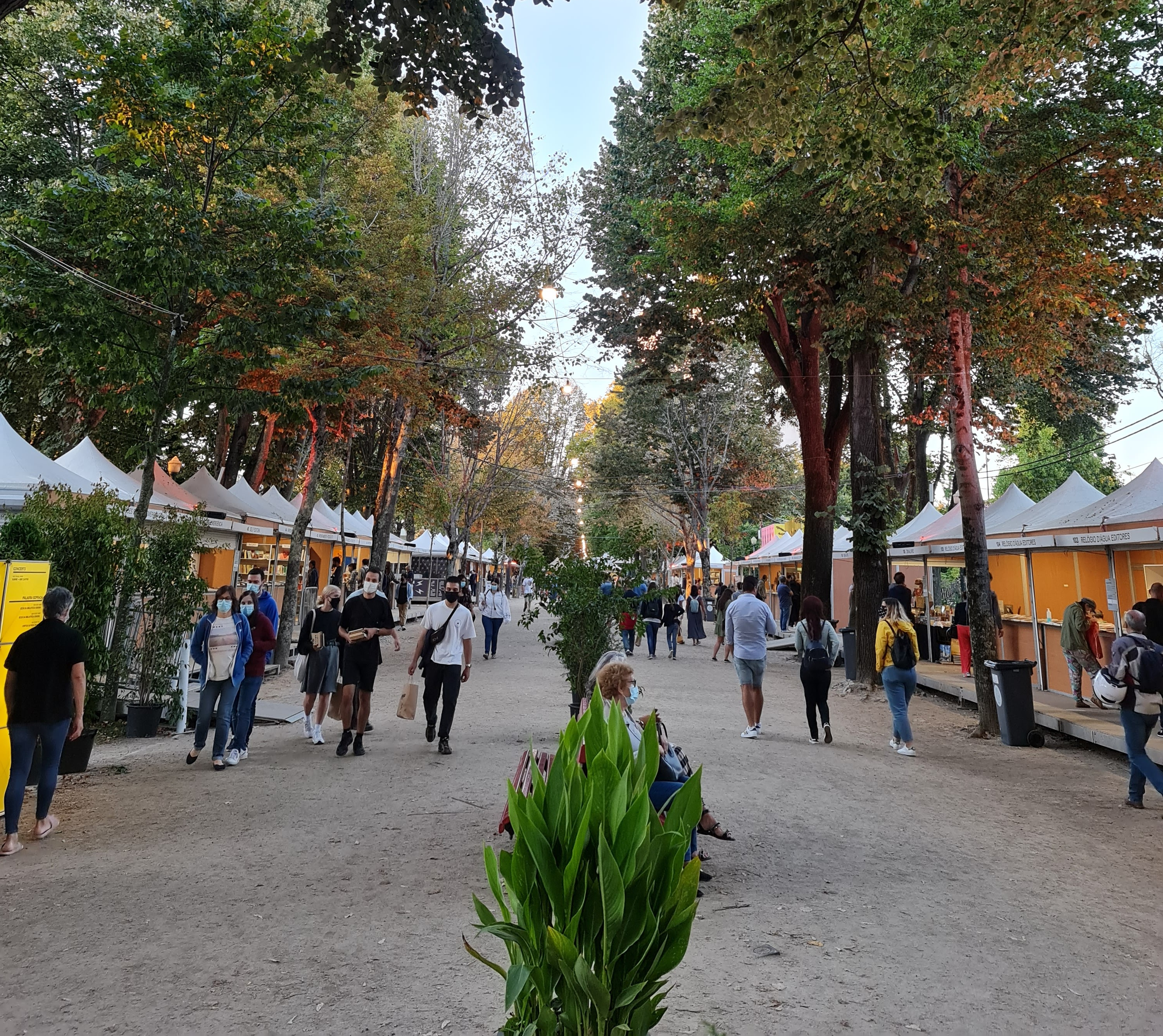 Porque sofrem de estigma os “novos autores”?