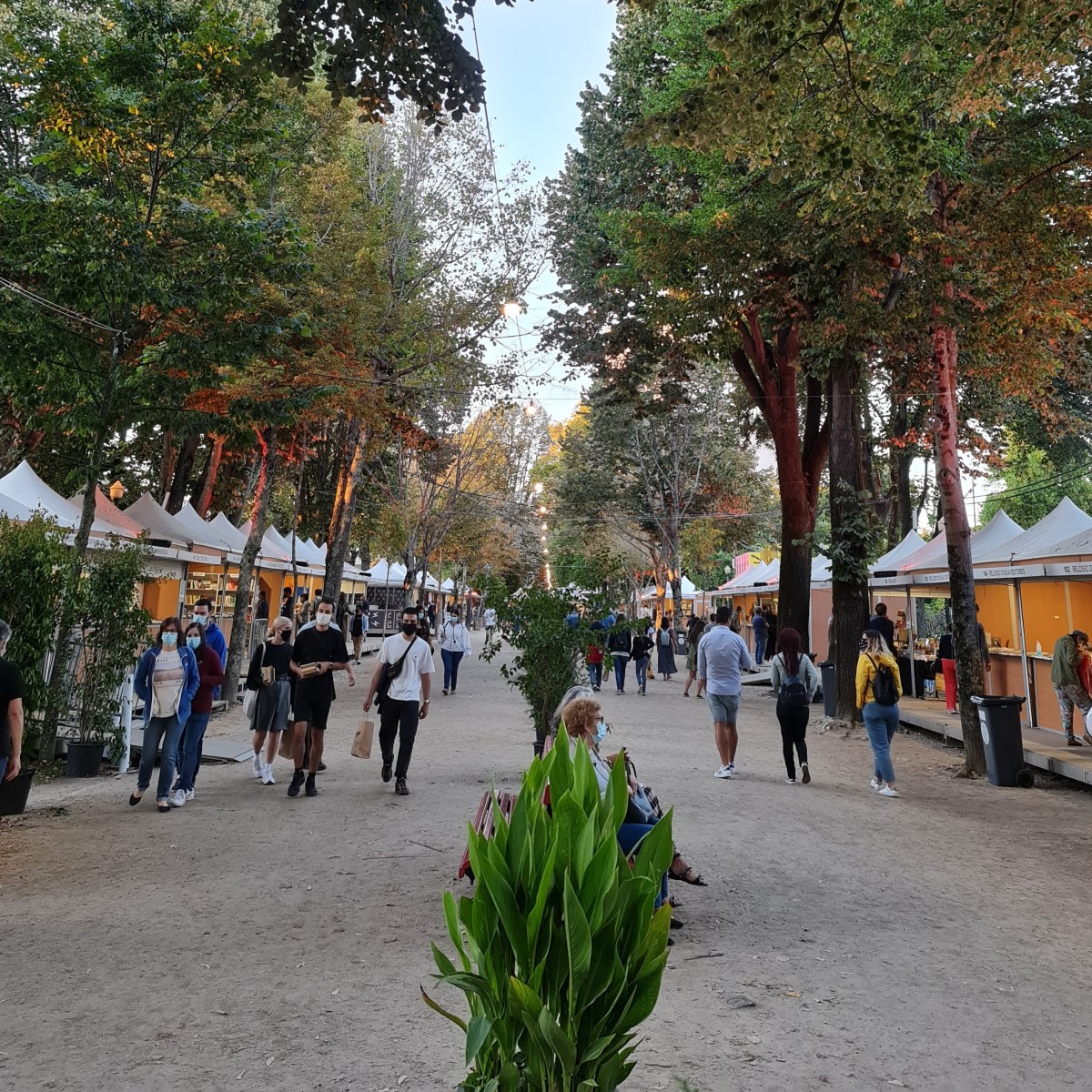 Porque sofrem de estigma os “novos&nbsp;autores”?