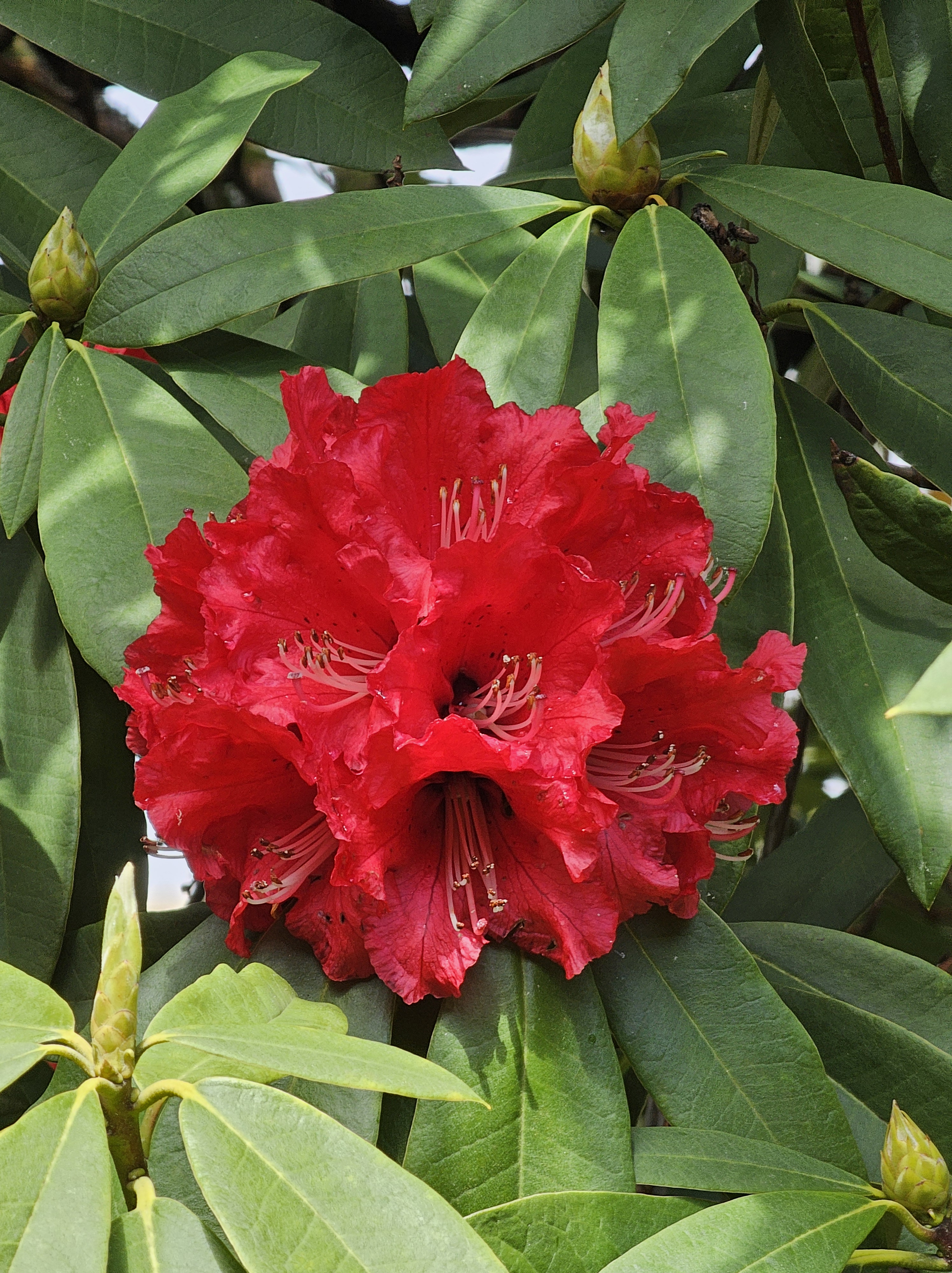 As pessoas escrevem, mas, pelos resultados eleitorais, ninguém lê!