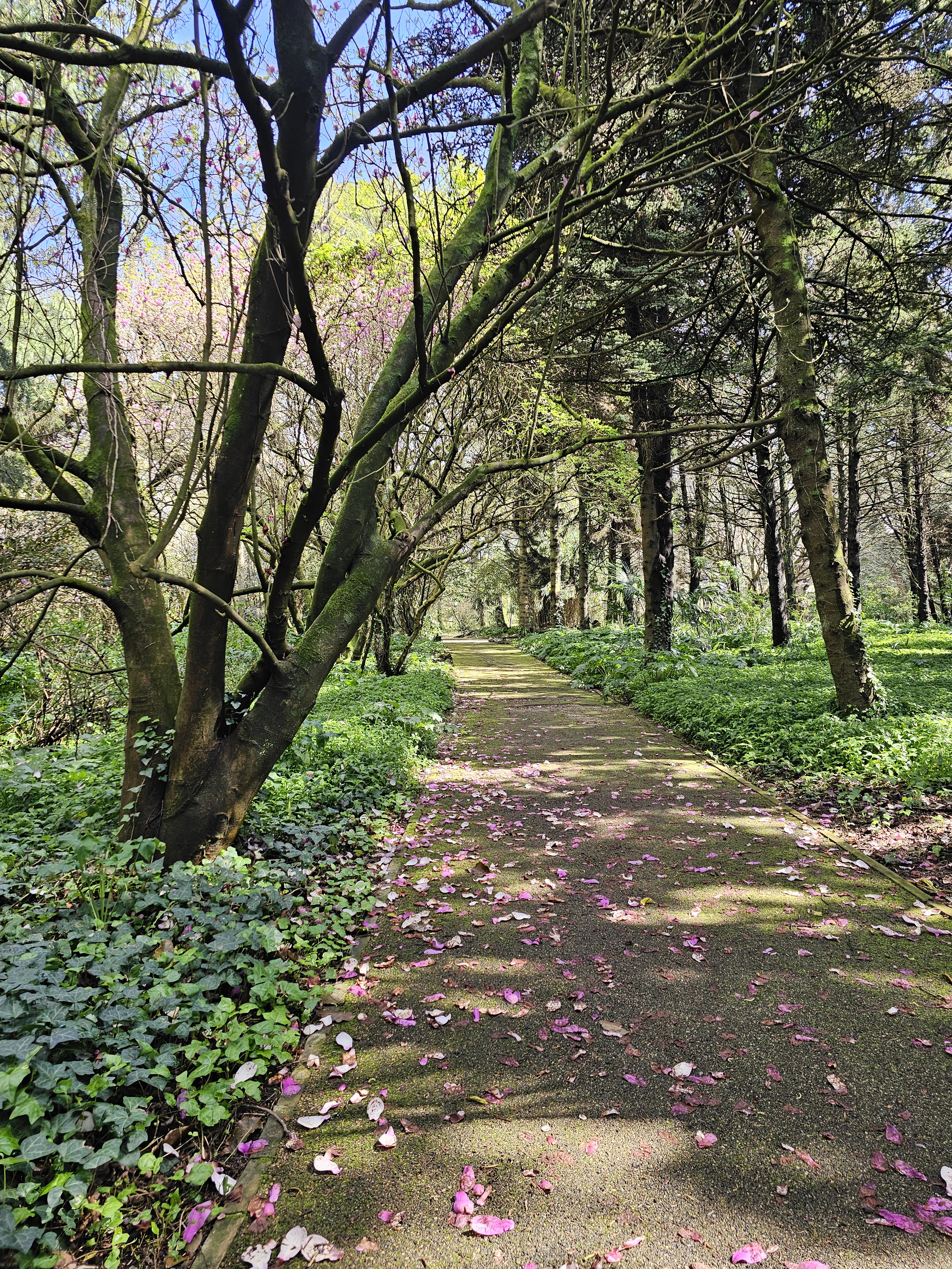 A importância da ponderação na publicação de livros: lições aprendidas