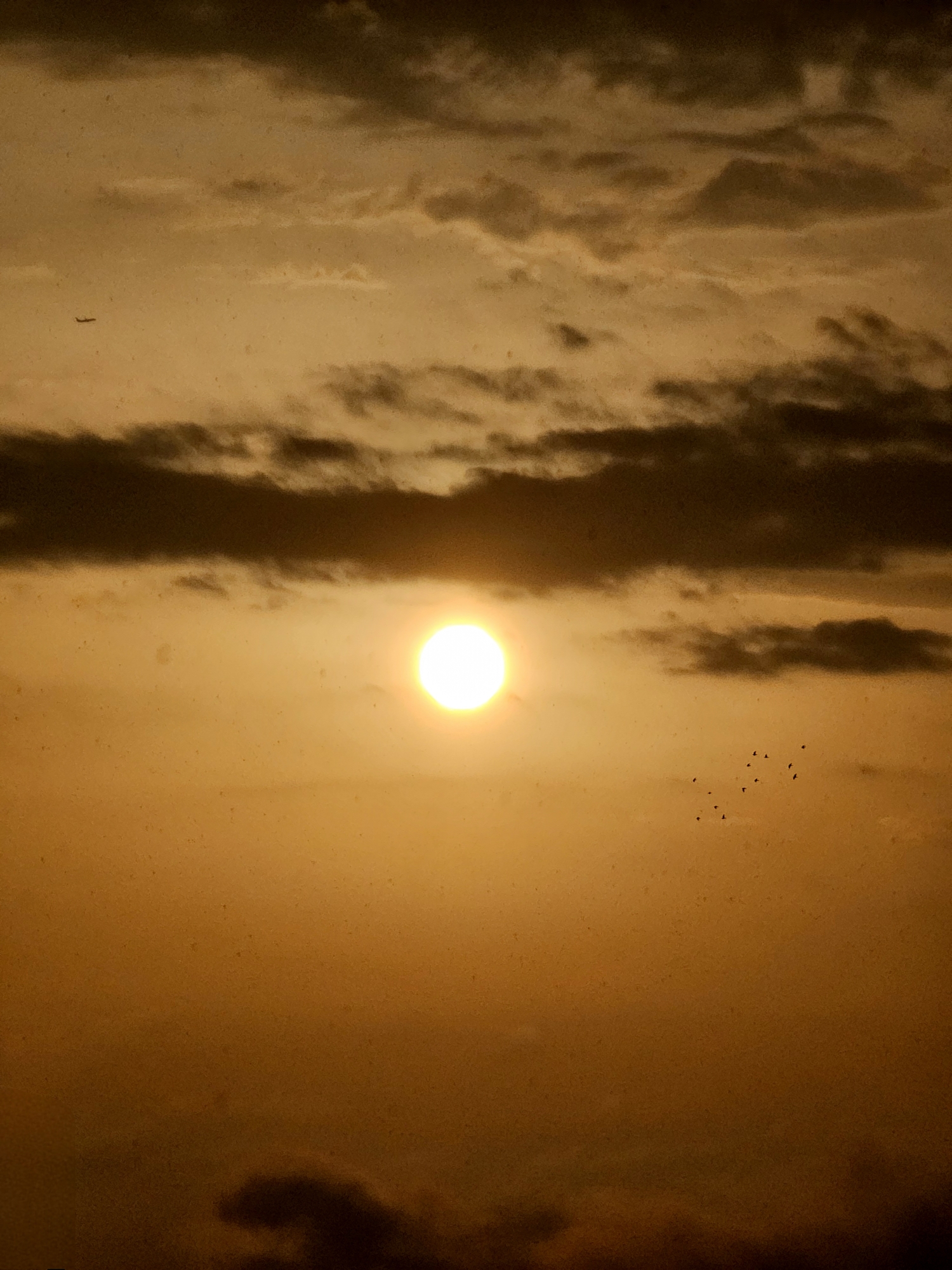 Ideias erradas que se retiram do mercado editorial americano