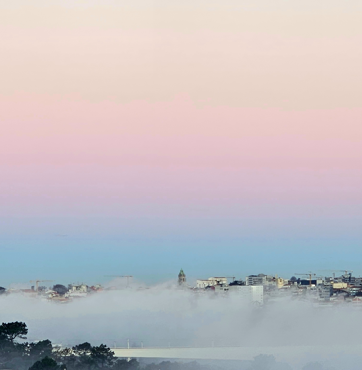 2024: um ano inesperado