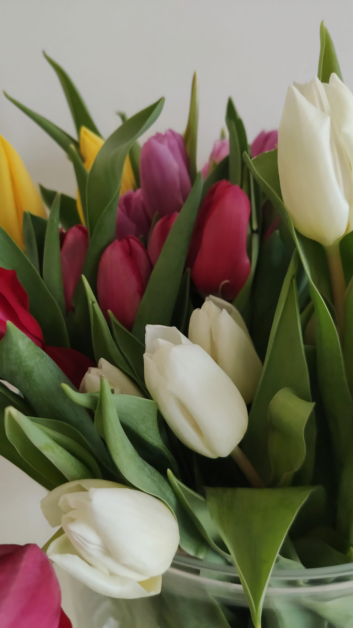 As mulheres que me levam a ler