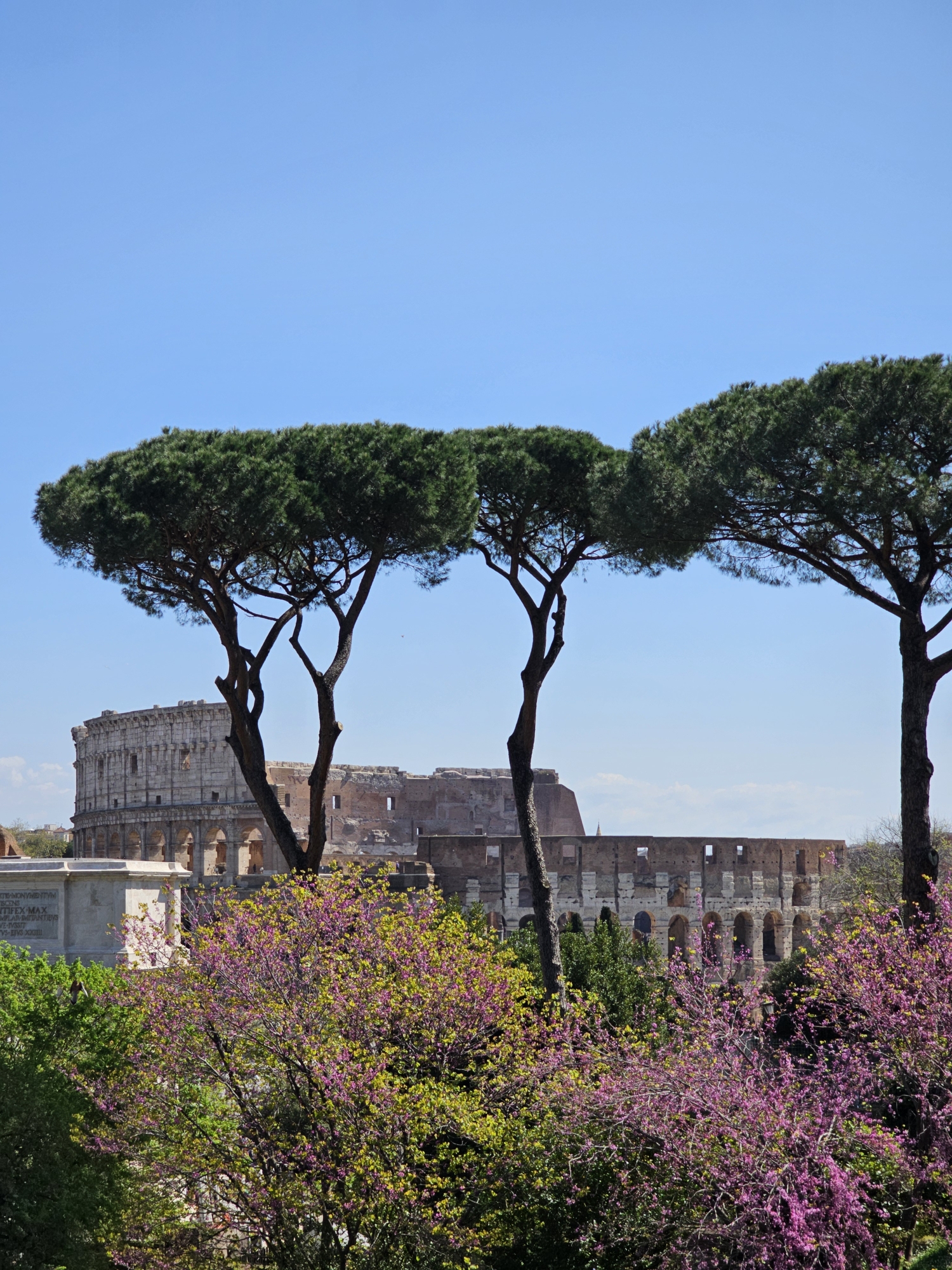 Cinco dias em Roma: uma viagem de corpo, alma e memória